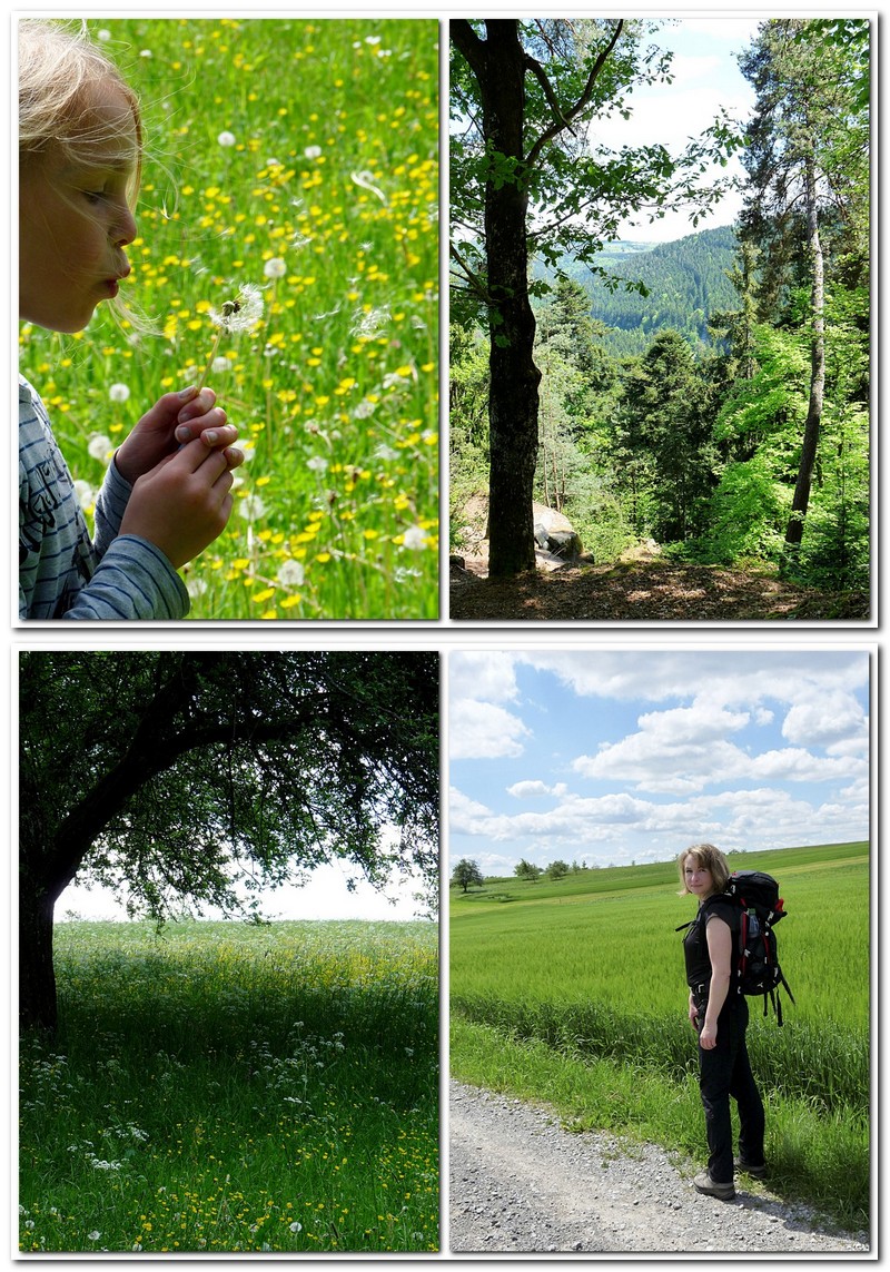 Unsere Schwarzwaldtour im Mai