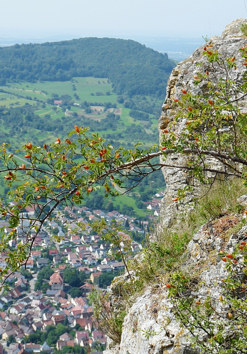 8_Ausblick von der Burg Hohenneuffen