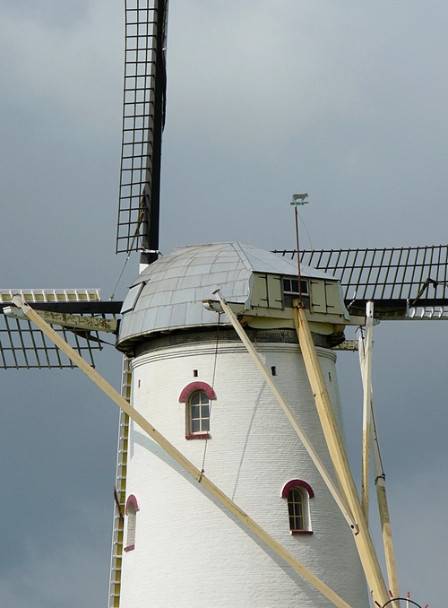 32_die Windmühle von Veere Zeeland