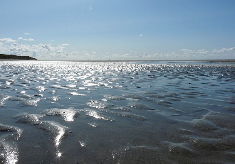 6_Ich liebe den Strand von Renesse in Zeeland