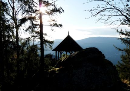 Blog aus dem Schwarzwald