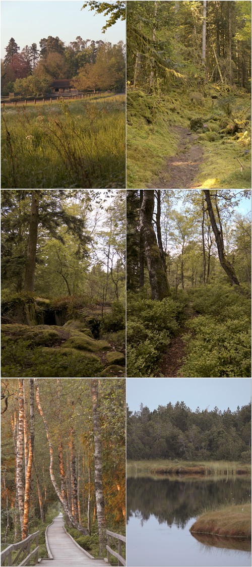 Wandern im Nordschwarzwald - Rueckblick Juni